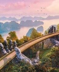 济南森林舞会游戏平台-济南森林舞会游戏平台，连接现实与虚拟的奇妙之旅